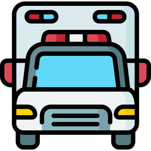 Emergency Medical Services (EMS)