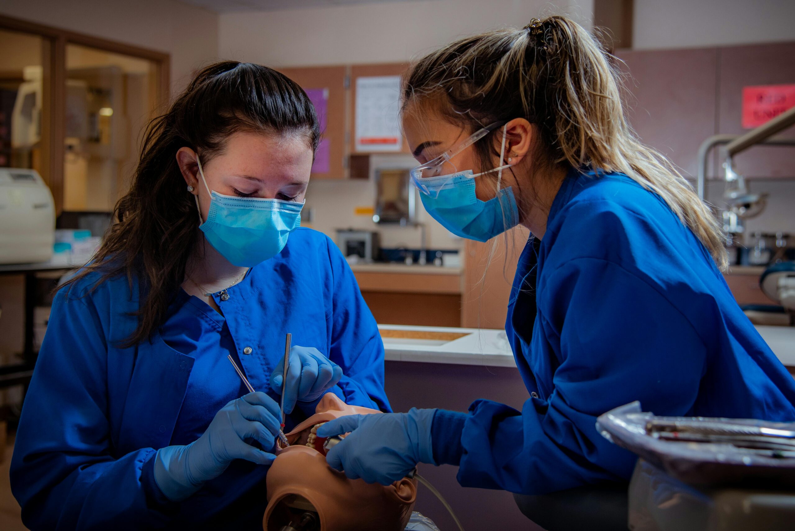 Medical students examining a manikin's mouth using medical tools as part of their training