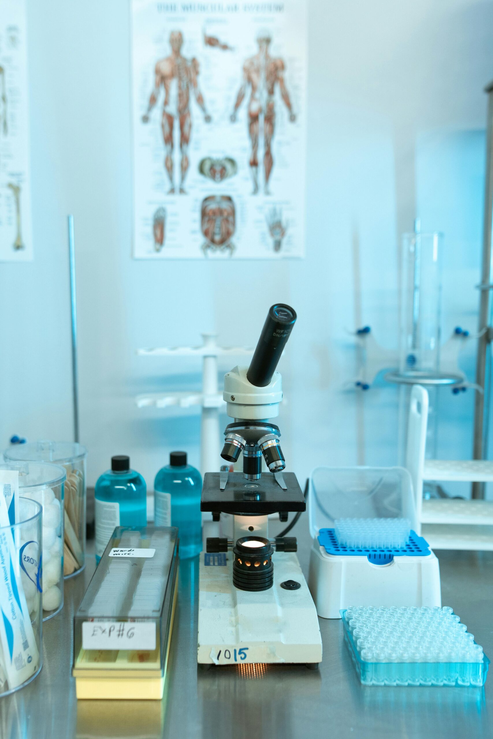 Lab slides, microscope, and various laboratory supplies arranged on a workspace for scientific research